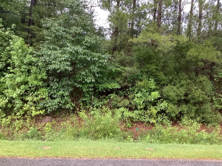 28F9DCD5-01BD-4A22-A407-FF3DC67922C5