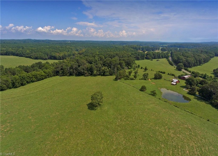 929 Arthur Teague Rd, Siler City, NC 27344 - photo 1