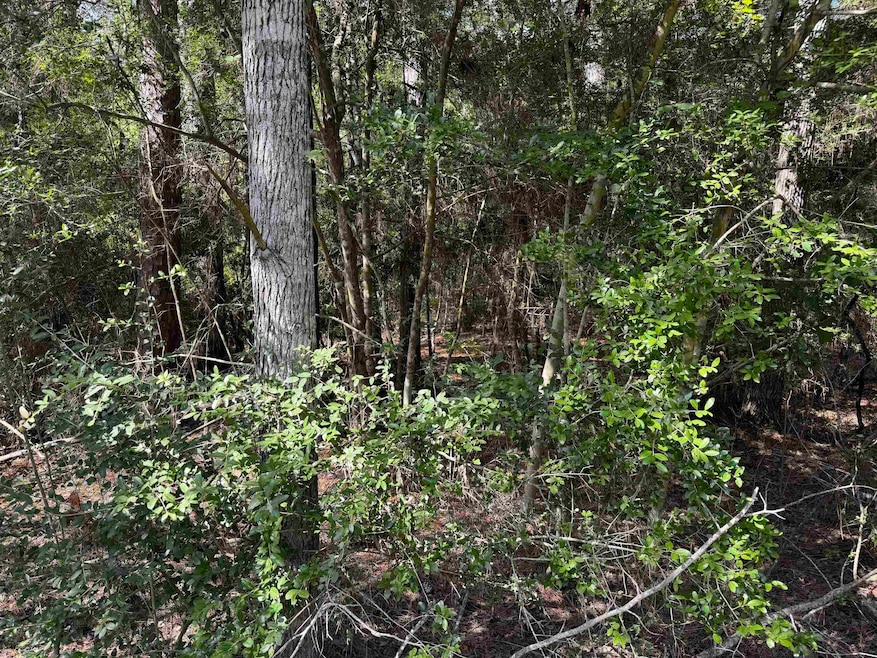 291 Aztec unit Lot 291, Brookeland, TX 75931 - photo 1