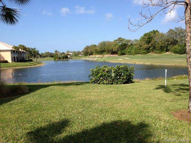 Water Views