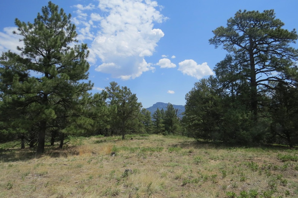 33260 Turkey Creek Ln unit Parcel B50, Trinidad, CO 81082 - photo 1