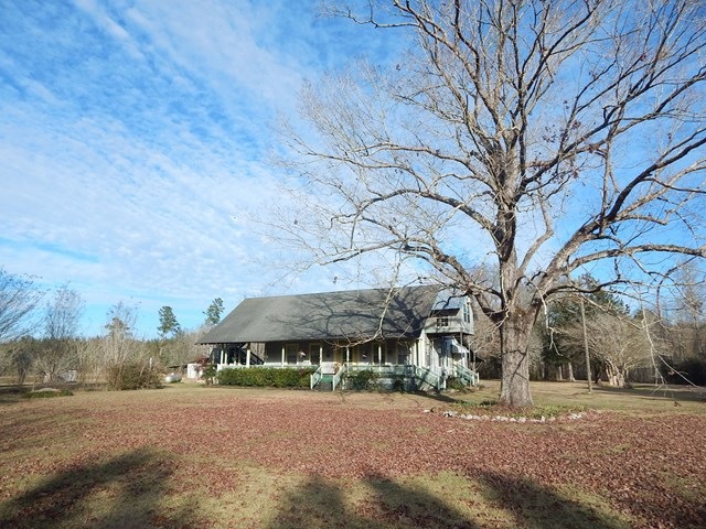 Main View