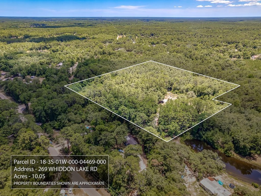 269 Whiddon Lake Rd, Crawfordville, FL 32327 - photo 1