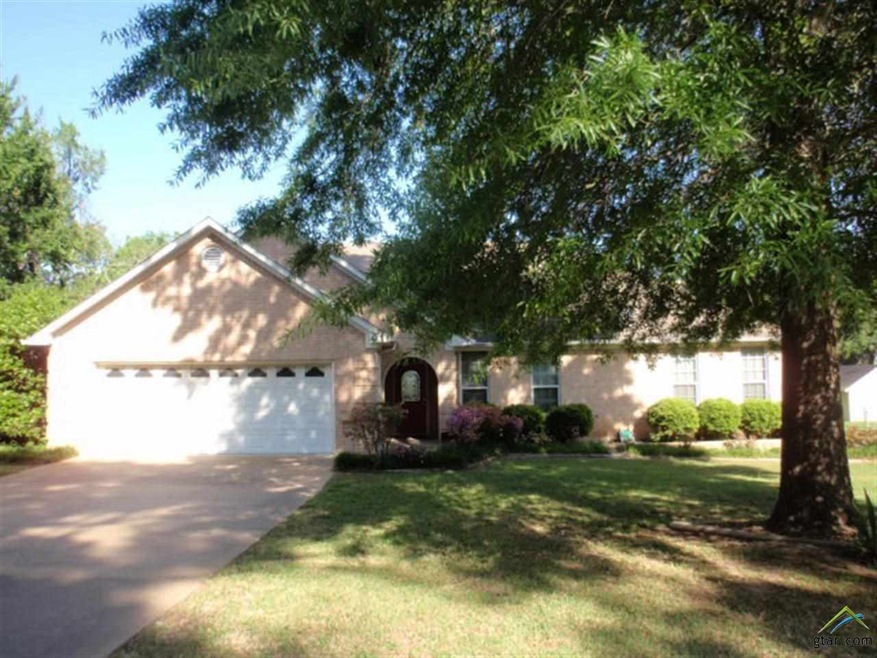 16289 Live Oak St, Tyler, TX 75707 - photo 1