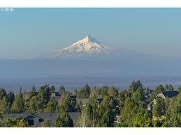 IMG955844