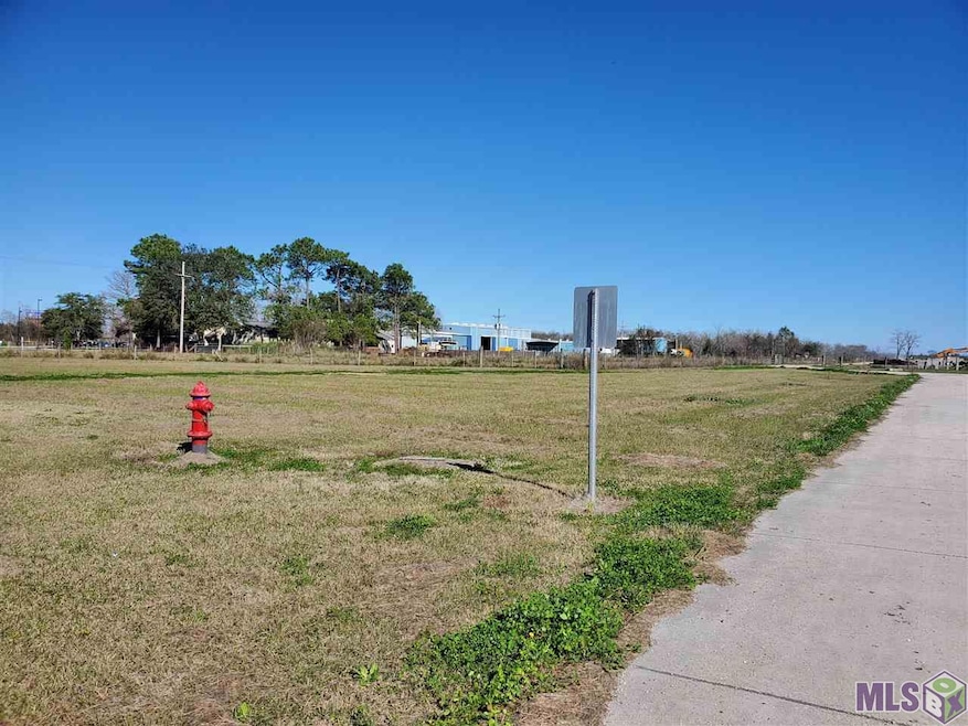 0 Highway 308 unit 2 157235, Larose, LA 70373 - photo 1
