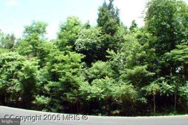 11577 Wollaston Cir, Swan Point, MD 20645 - photo 1