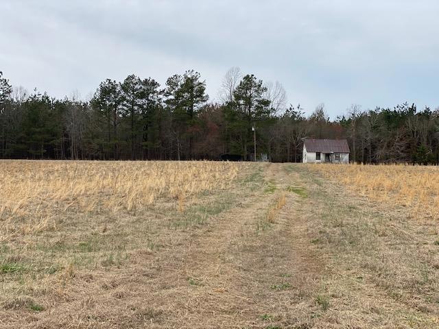 0 Craig Mill Rd unit B2 46919, Lunenburg, VA 23944 - photo 1