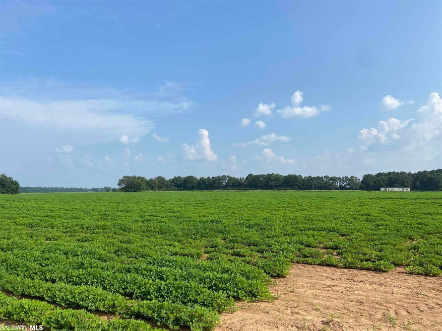 04 Alabama 21, Atmore, AL 36502 - photo 1