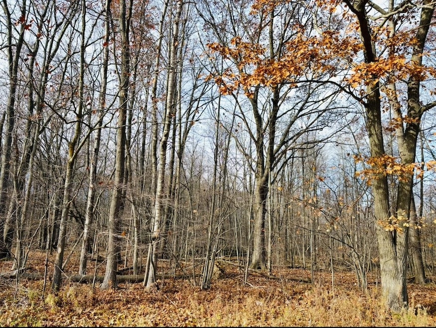 0 N Waldo unit 50194717, Midland, MI 48642 - photo 1