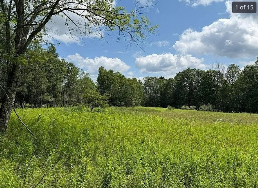 125 Dimmick Mountain Rd, Middletown, NY 12430 - photo 1