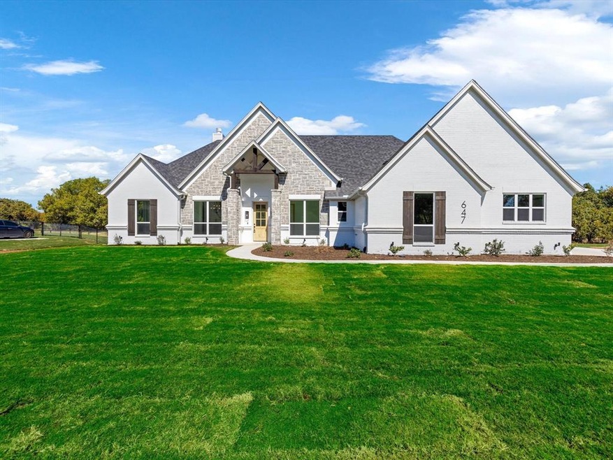 647 Winkler Way, Springtown, TX 76082 - photo 1