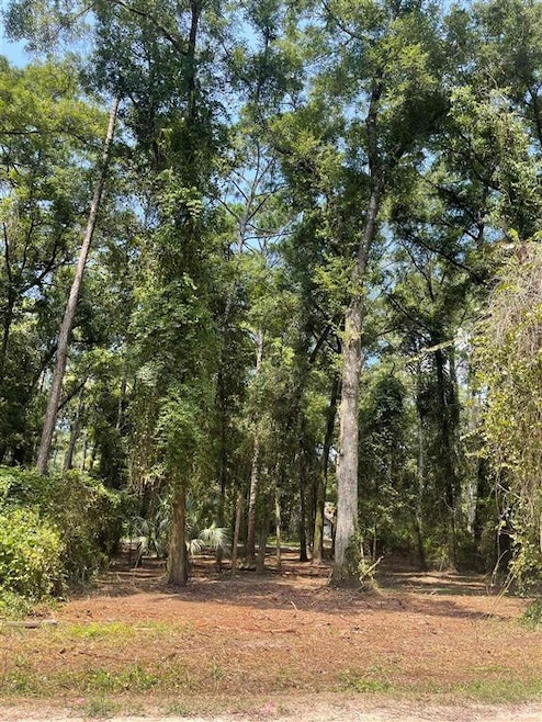 Lots 64 & 65 E J Stringer Rd, Crawfordville, FL 32327 - photo 1