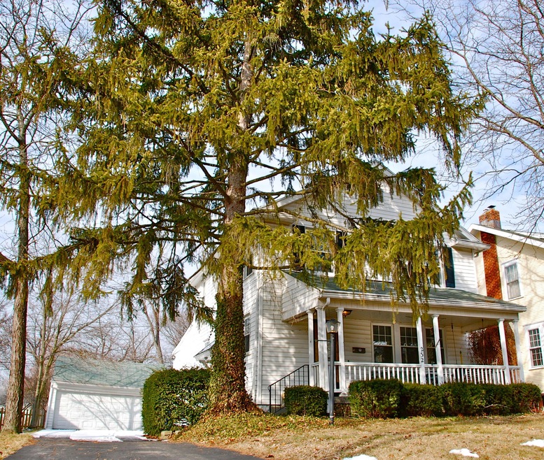 Mature trees on lot