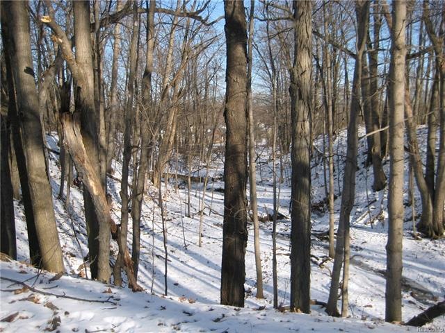 Lot_2_LkShannon_0638.jpg