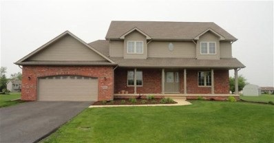 14062 W 130th Ct, Cedar Lake, IN 46303 - photo 1