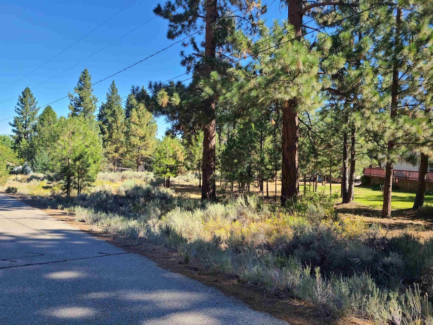 598 Longhorn Dr, Loyalton, CA 96118 - photo 1