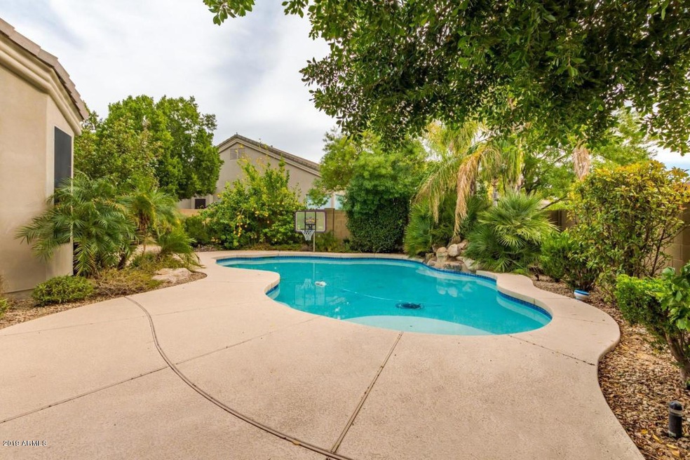 Sparkling Pool