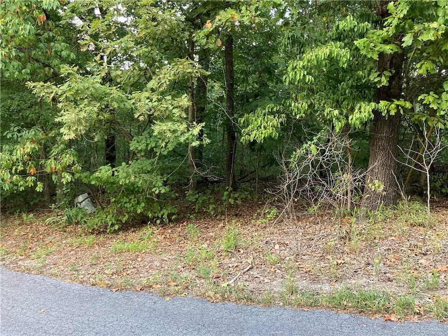 1 Malvern Ln, Bella Vista, AR 72714 - photo 1