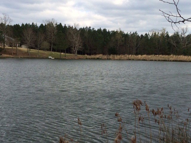 905 Horseshoe Lake Cove, Oxford, MS 38655 - photo 1