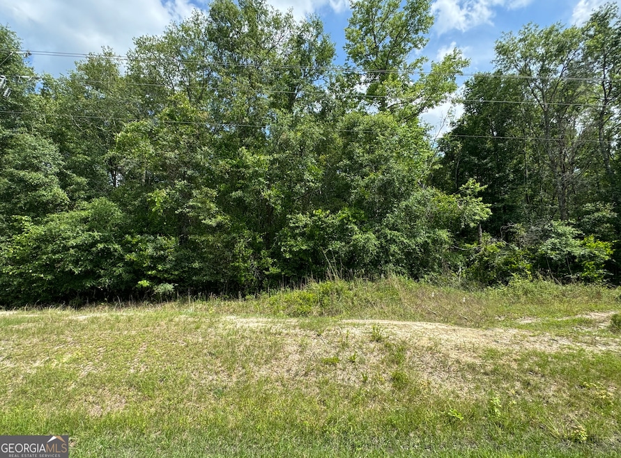 0 Reedsville Rd unit 10556762, Clyo, GA 31303 - photo 1