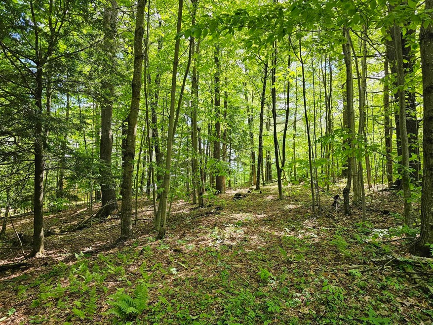 00 Kennedy Brook Dr, Stoddard, NH 03464 - photo 1