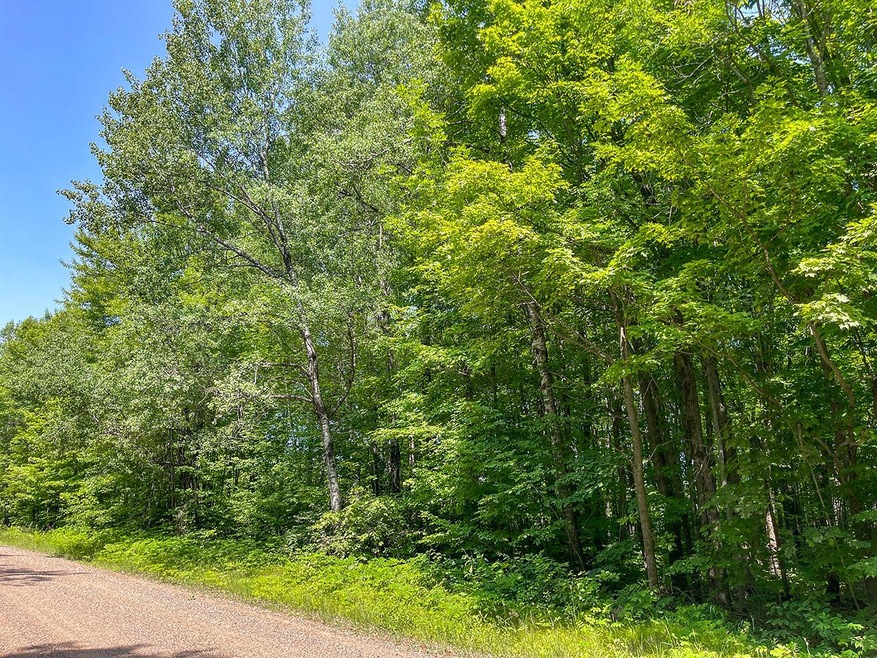 4 Millie Rd, Tomahawk, WI 54487 - photo 1