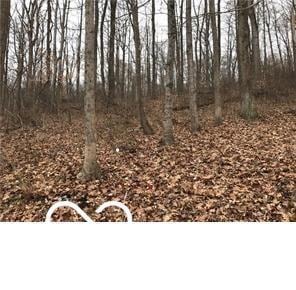 5216 Orange Grove Rd, Gosport, IN 47433 - photo 1