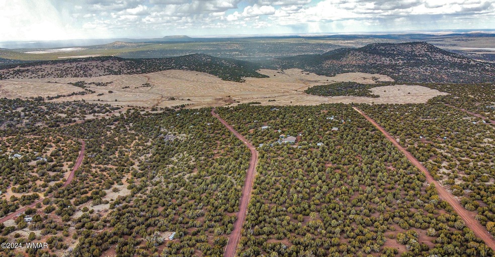 dji_fly_20240309_135040_267_171001750686
