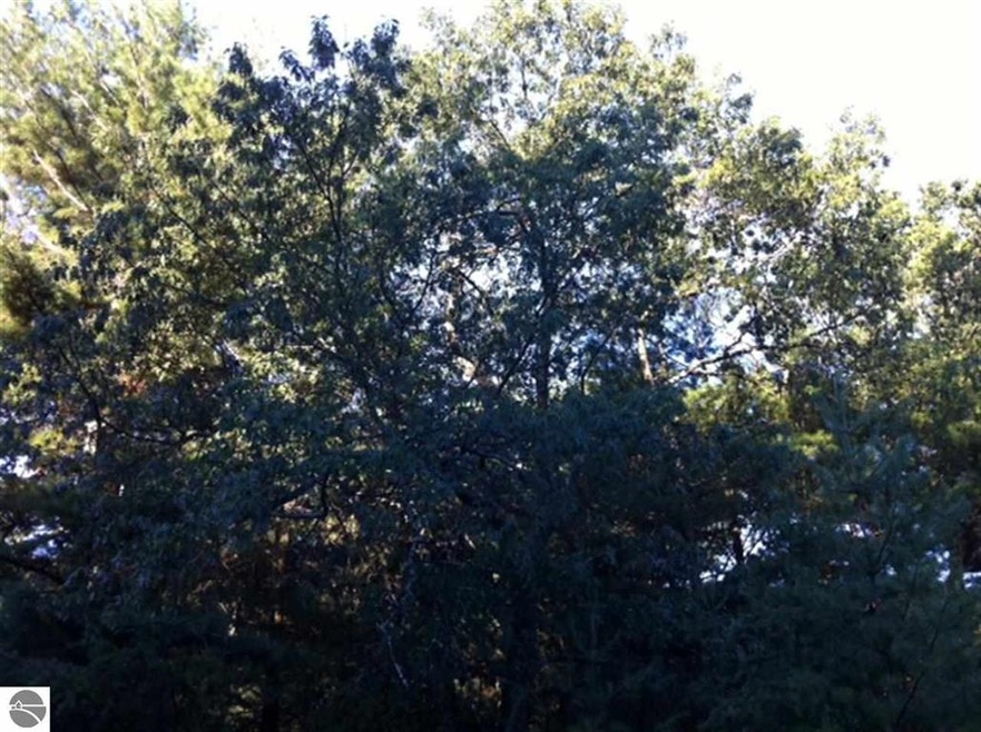 N/A Huron Breeze Drive Lot 47 unit 47, Au Gres, MI 48703 - photo 1