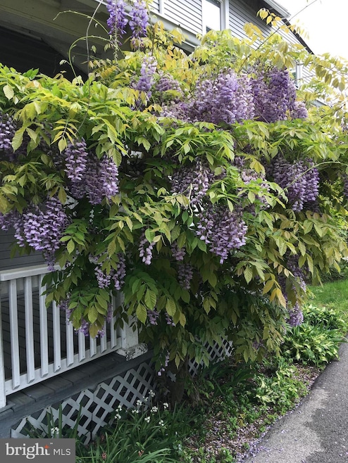 19 Lowrys Ln unit 2A, Bryn Mawr, PA 19010 - photo 1