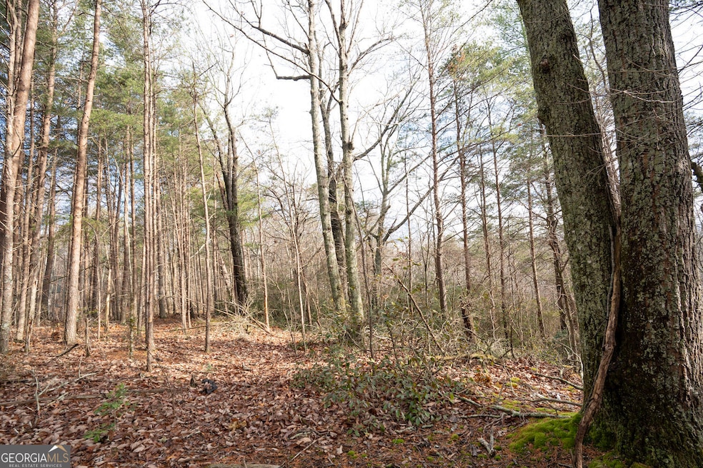 1 Amber Ct, Jasper, GA 30143 - photo 1