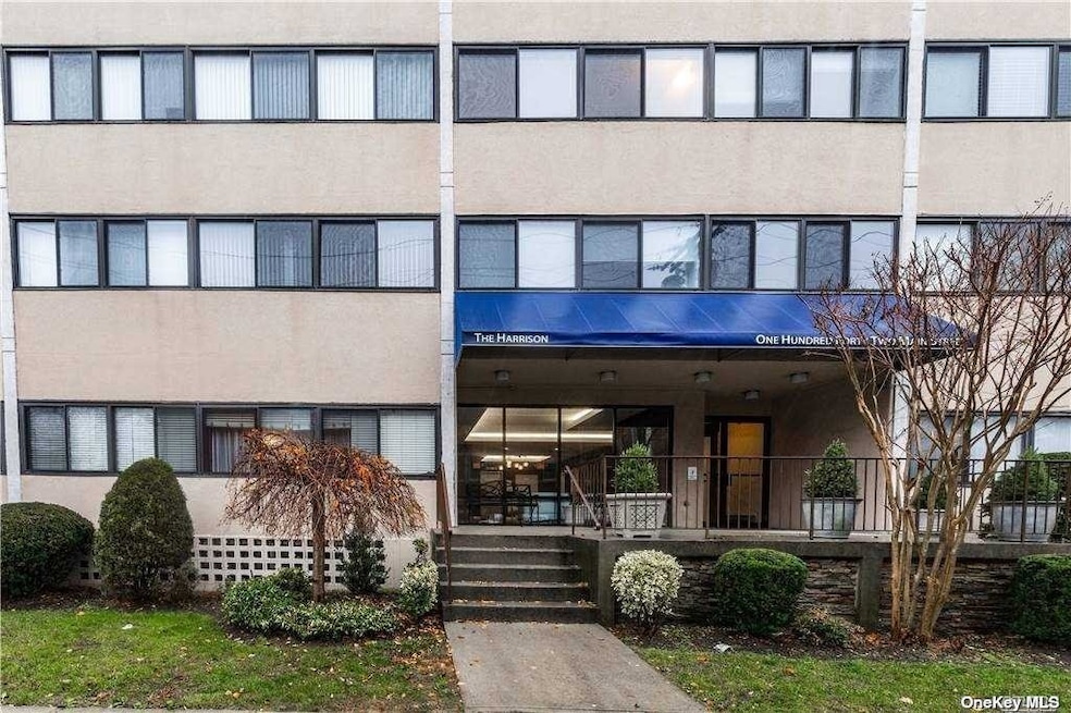 142 Main St unit 2B, Mineola, NY 11501 - photo 1