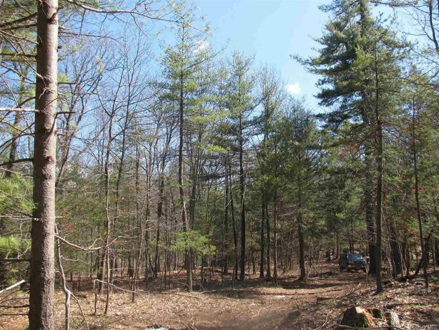 0 E Cedar Ln unit ONEHM338107, Rhinebeck, NY 12572 - photo 1