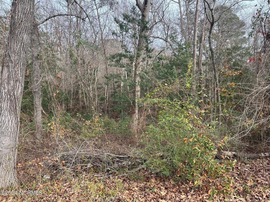 Lot 72 -2