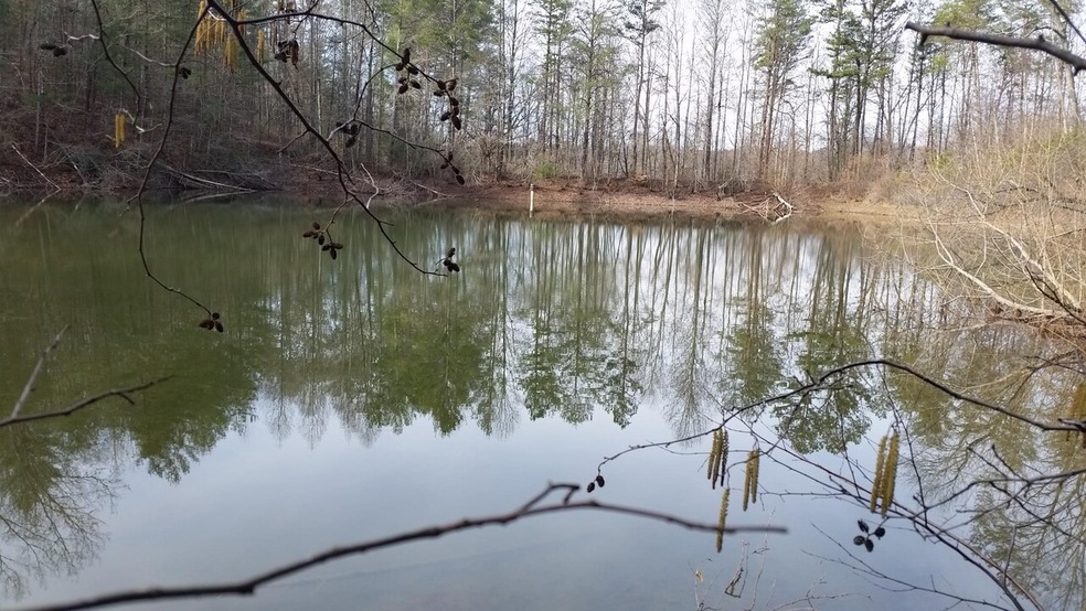 352 Mandy's Cove, Demorest, GA 30535 - photo 1