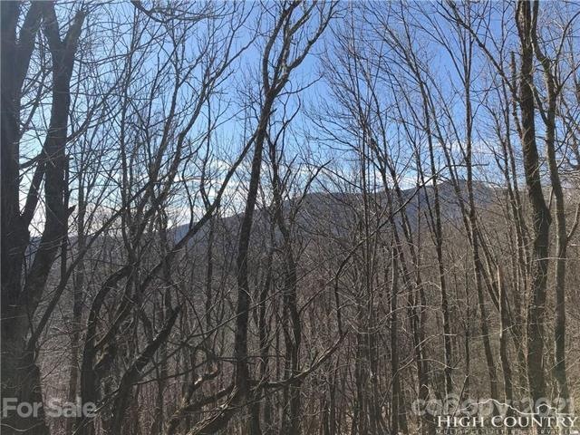 Potential views taken at nearby lot during winter.