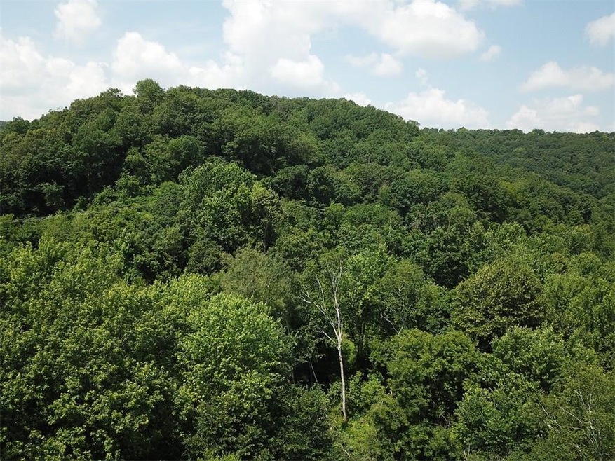 0 Sather Ln unit 1533393, Ettrick, WI 54627 - photo 1