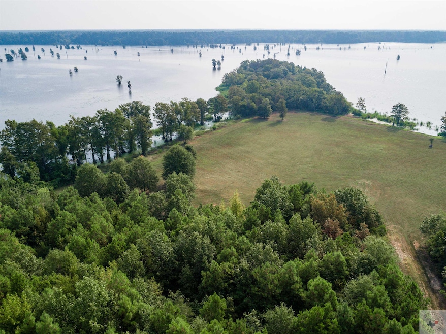 TBD Collier Rd, Lewisville, AR 71845 - photo 1