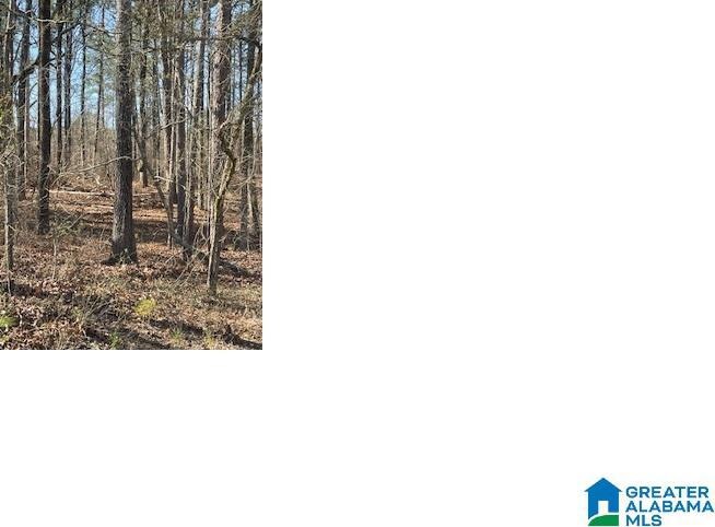 0 Aurora Dr unit 22 21424554, Alpine, AL 35014 - photo 1