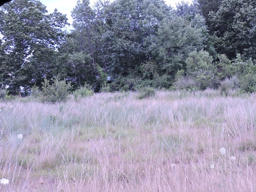 Lot 0 Lawton St, Ludlow, MA 01056 - photo 1