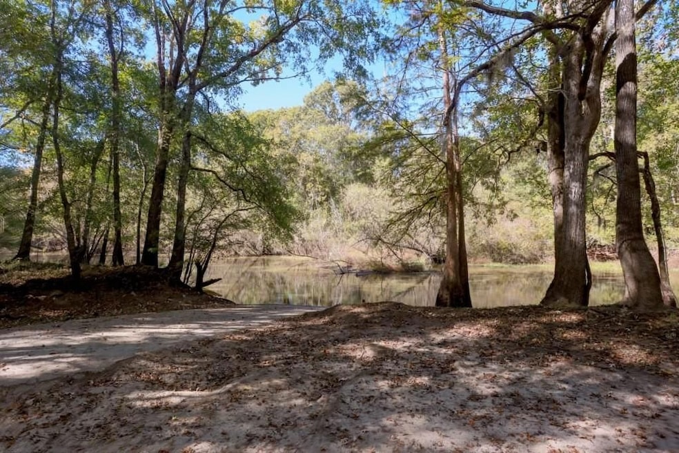 Scarboro Landing, Millen, GA 30442 - photo 1