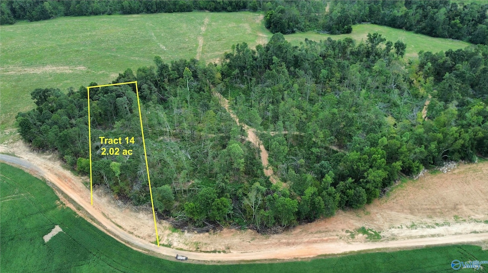 21428 Holland Rd, Athens, AL 35614 - photo 1