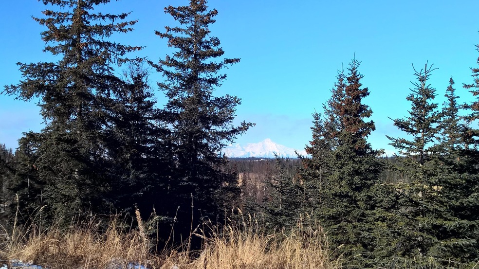 WP_20150313_12_32_30_Pro.jpg