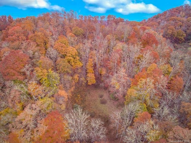 0 Duncan Rd, Jacks Creek, NC 28714 - photo 1