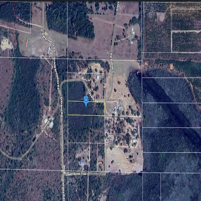 0 Stevens Rd, Altha, FL 32421 - photo 1