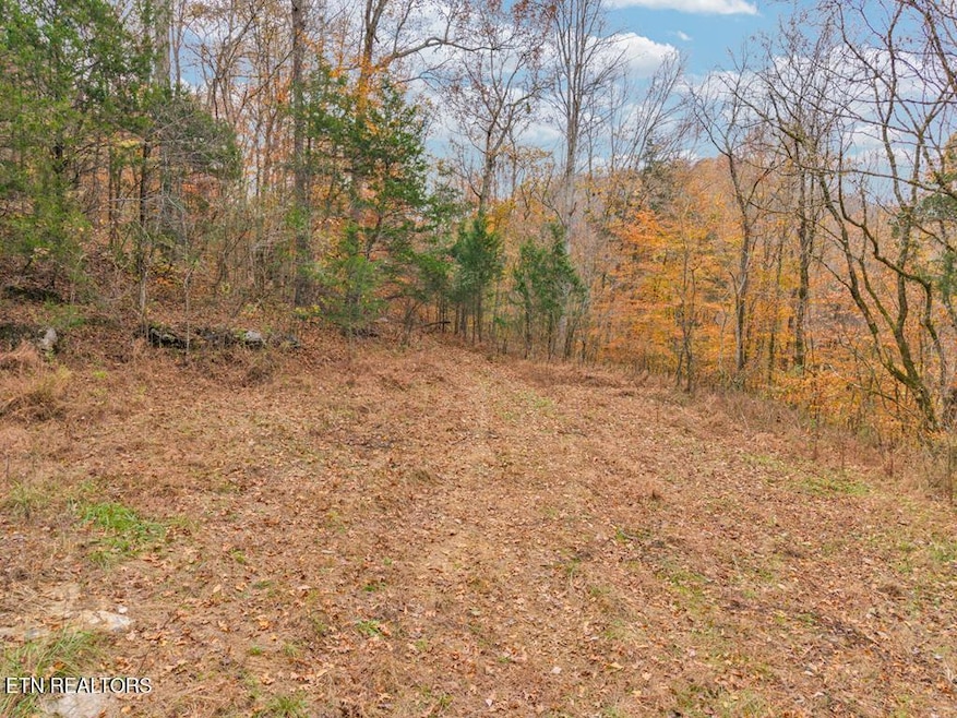 0 Ensor Hollow Rd, Buffalo Valley, TN 38548 - photo 1