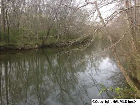APPROX 44+/- AC WITH FLINT RIVER FRONTAGE! GREAT FOR FISHING, HUNTING, AND WATER RECREATION!