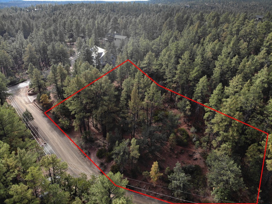 3586 N Pine View Dr, Pine, AZ 85544 - photo 1