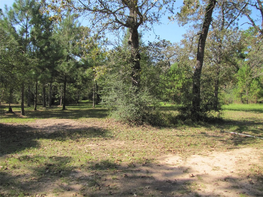 29520 Tudor Way, Magnolia, TX 77355 - photo 1